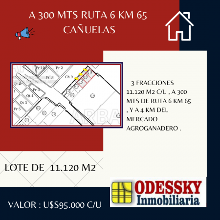 CAÑUELAS - 3 FRACCIONES DE 11.120 M2 - VENTA EN BLOCK