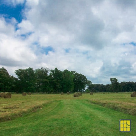 CAÑUELAS -CAMPITO DE 5 HA EN VENTA 