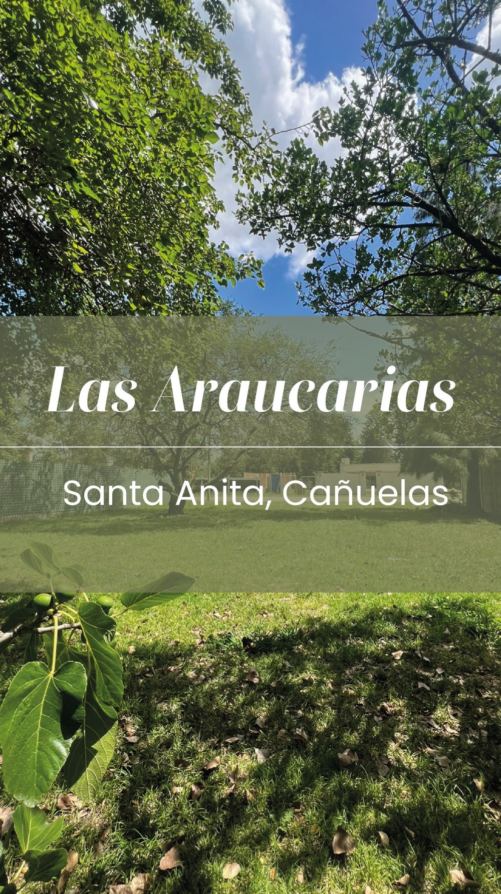 Barrio abierto Las Araucarias ¡ÚLTIMOS 2 LOTES!