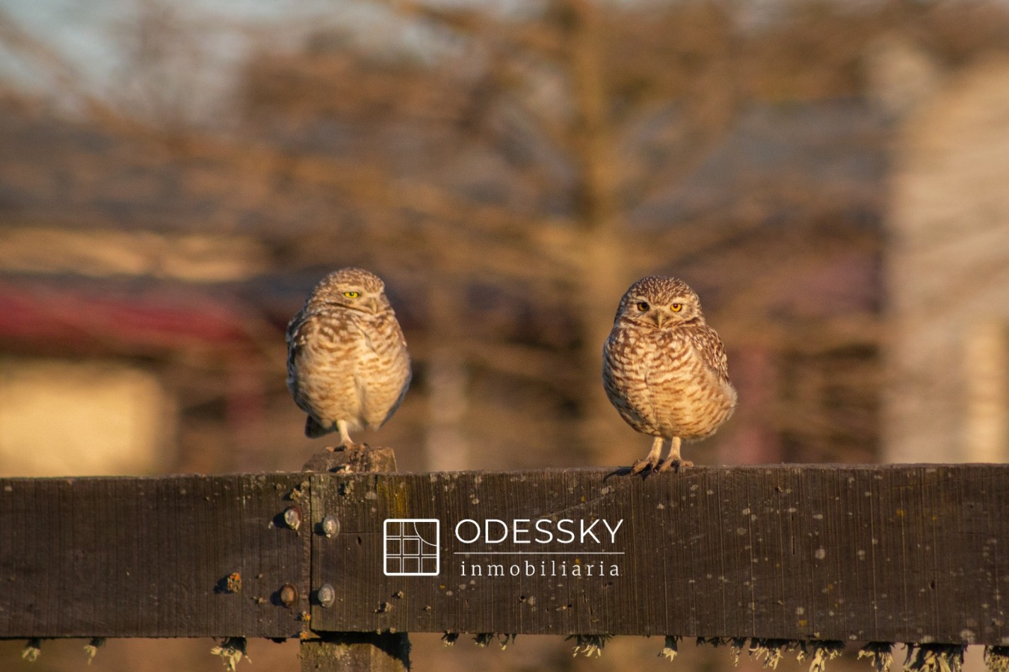 Cañuelas -Fraccion en venta de 10.750 m2 en Chacras de la Trinidad ,Club de campo y polo