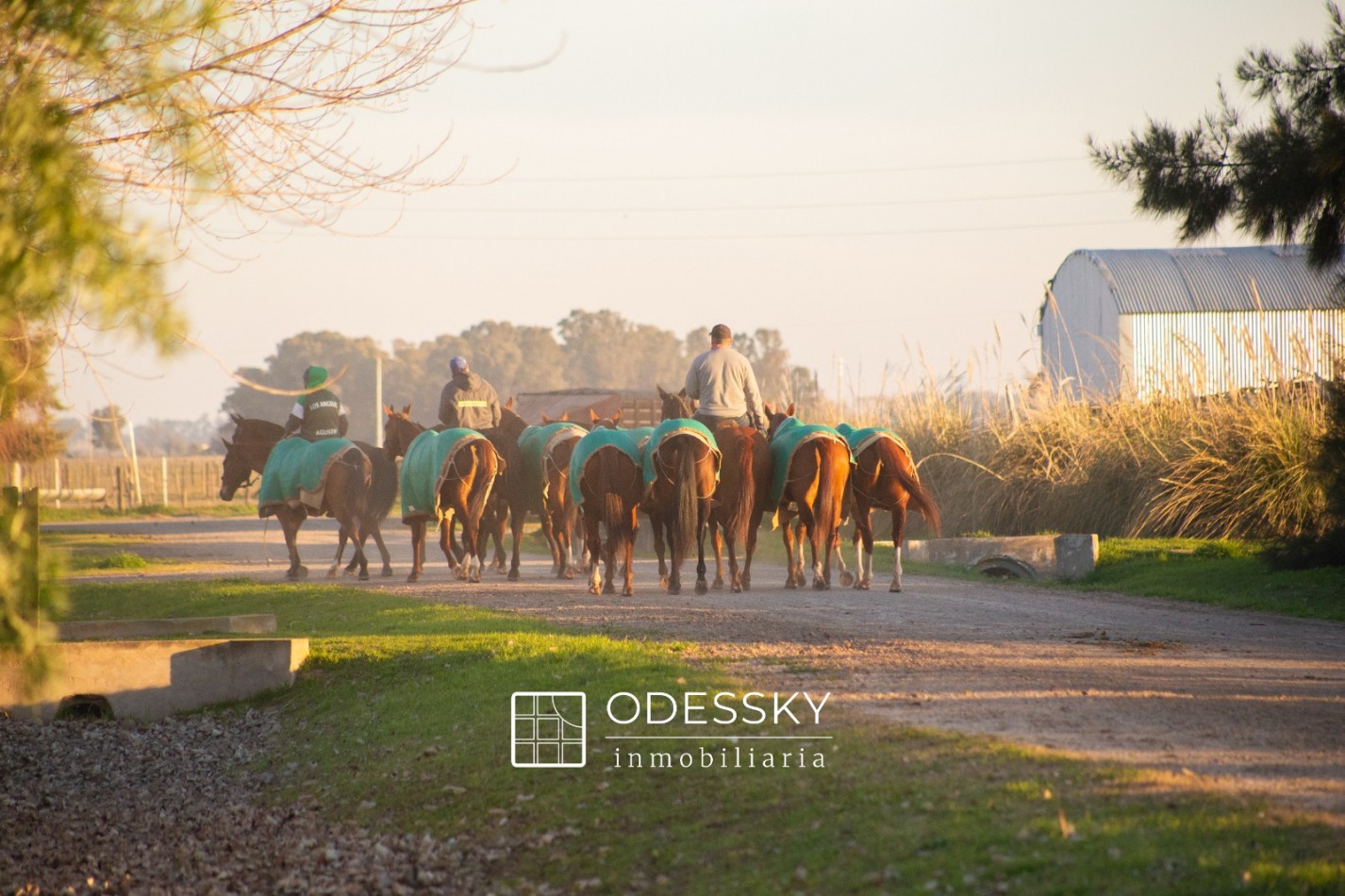 Cañuelas -Fraccion en venta de 10.750 m2 en Chacras de la Trinidad ,Club de campo y polo