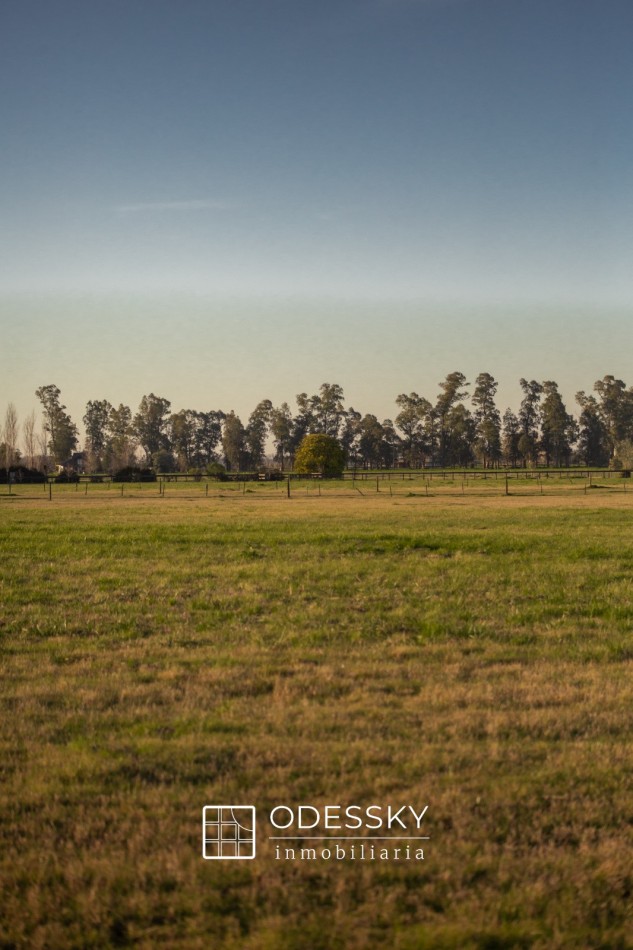 Cañuelas -Fraccion en venta de 10.750 m2 en Chacras de la Trinidad ,Club de campo y polo