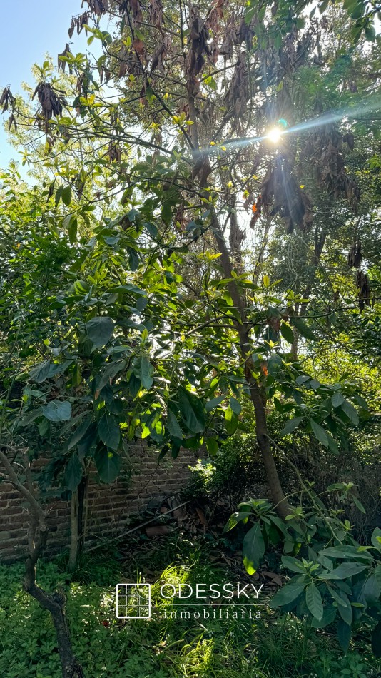 Cañuelas - Casa antigua en pleno centro! 