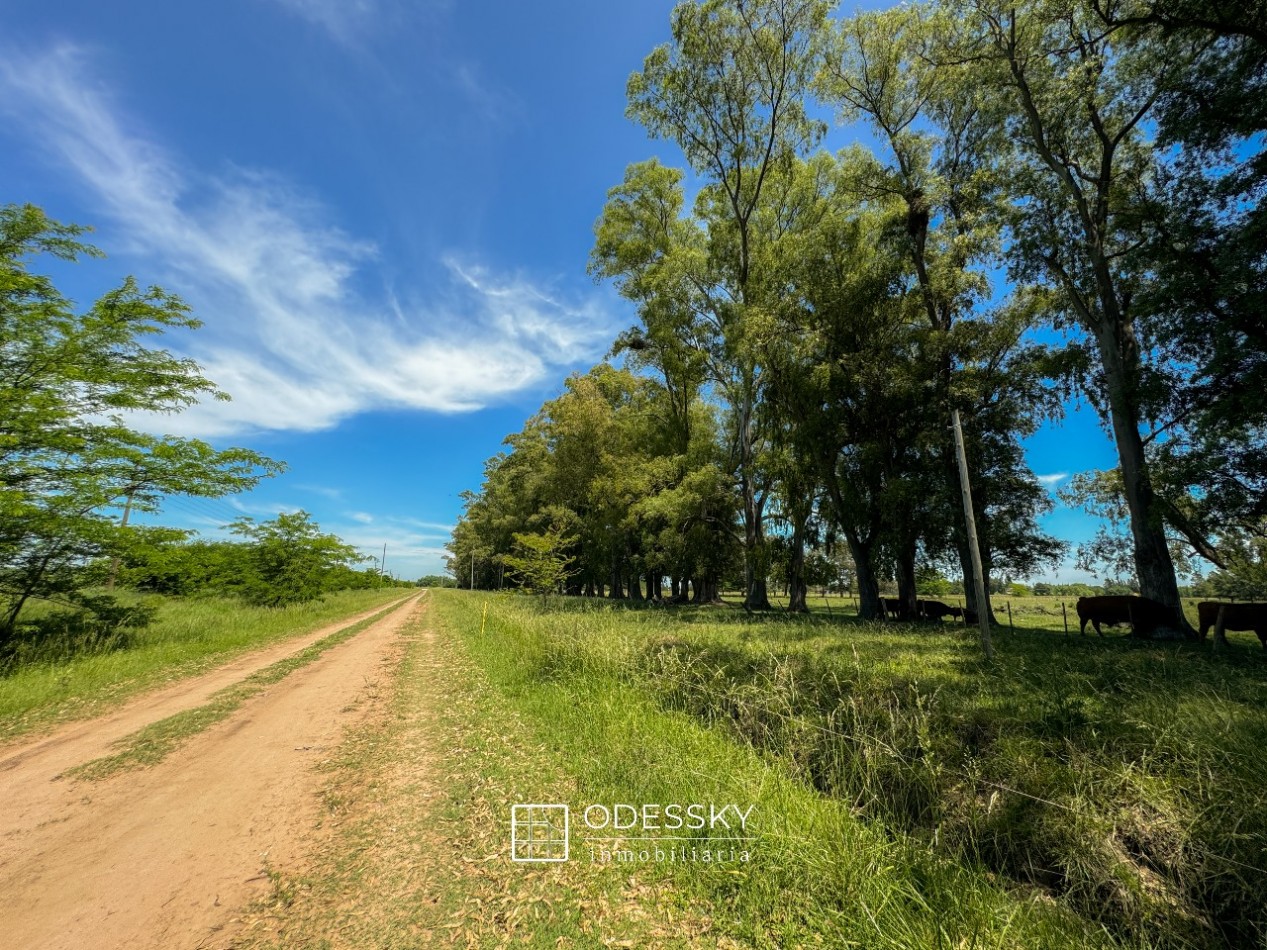 Uribelarrea -Hermosa fraccion de 3,5 ha a la venta 