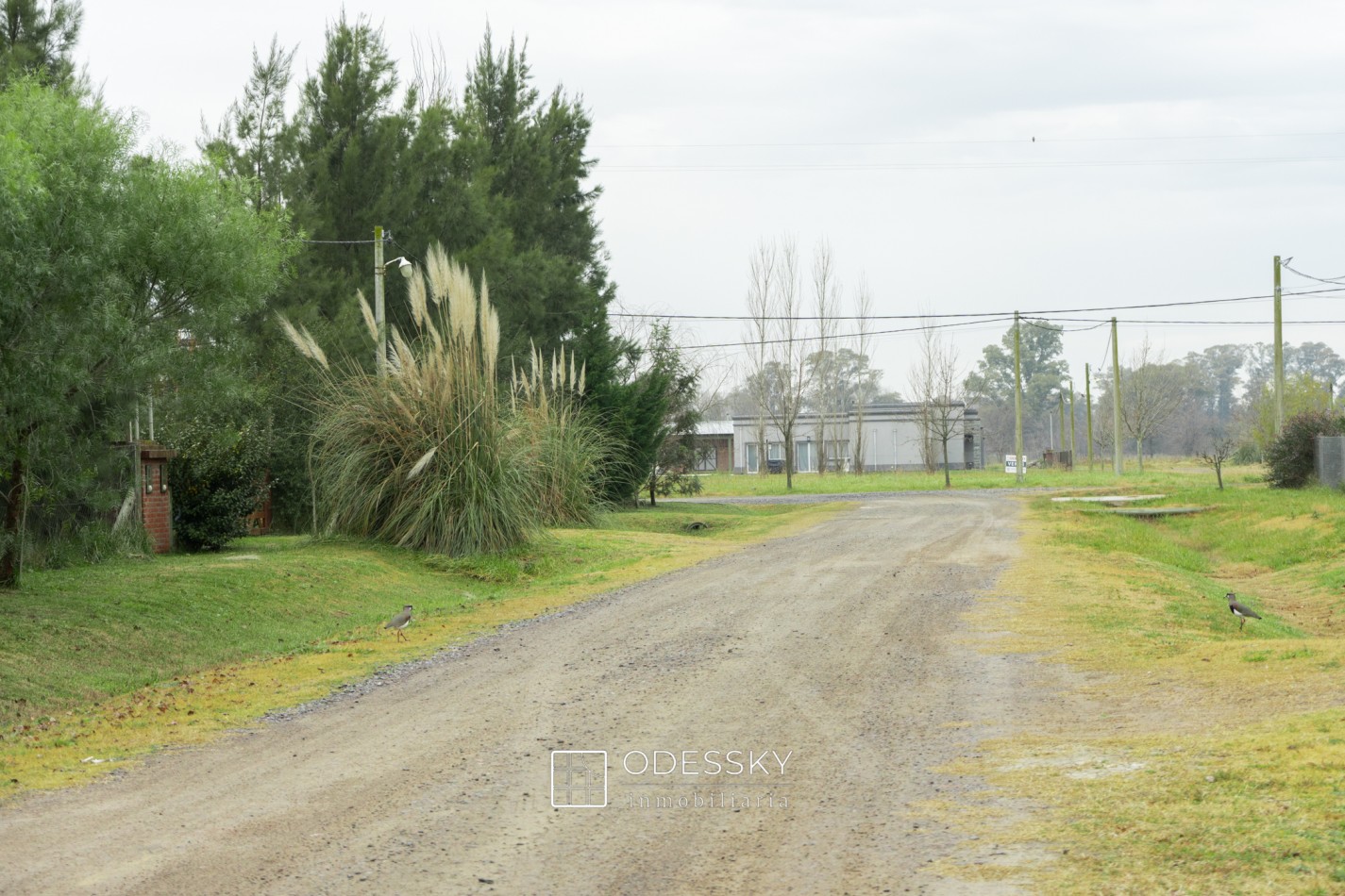 VENDIDO ! Uribelarrea- Cabaña de Troncos con Pileta y Gran Parque - Barrio abierto Quintas de Uribe