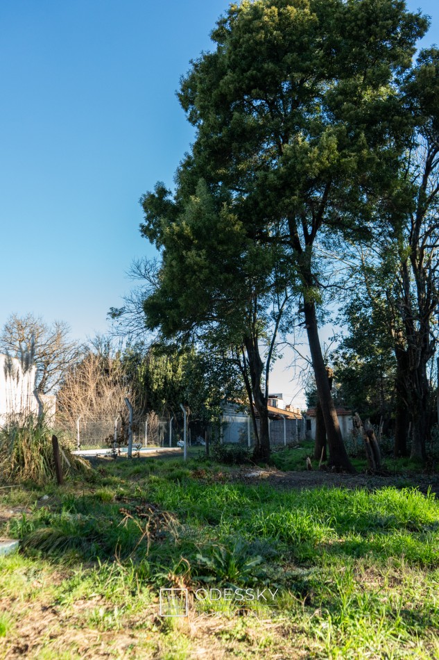 CAÑUELAS- HERMOSO LOTE EN VENTA