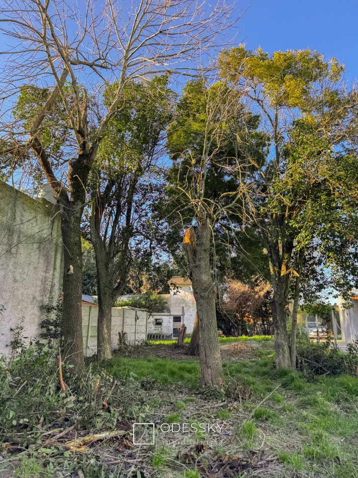 CAÑUELAS- HERMOSO LOTE EN VENTA