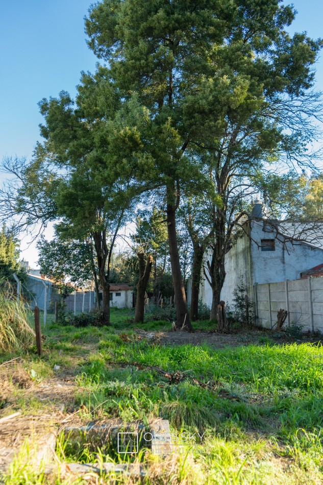CAÑUELAS- HERMOSO LOTE EN VENTA