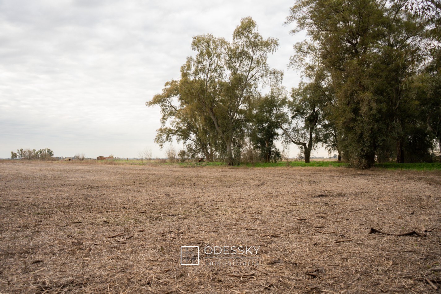 Cañuelas -17 ha en venta 