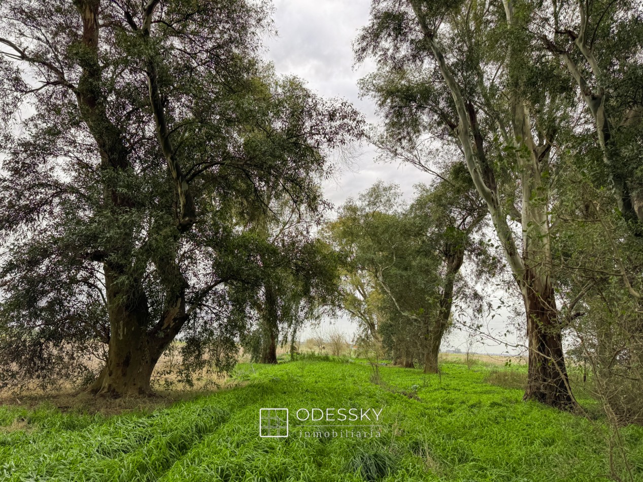 Cañuelas -17 ha en venta 