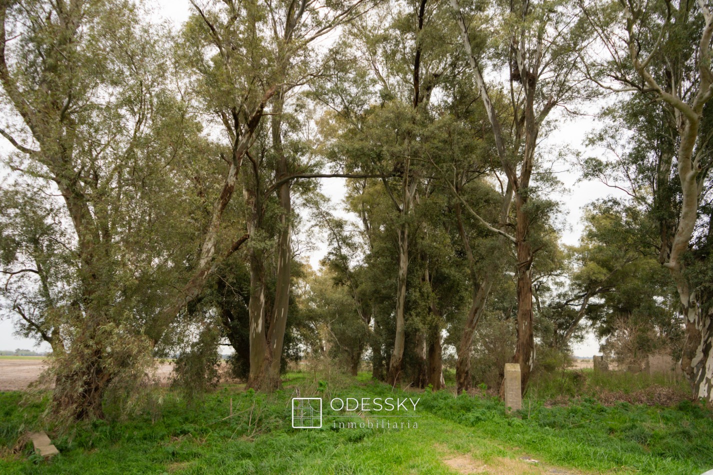 Cañuelas -17 ha en venta 