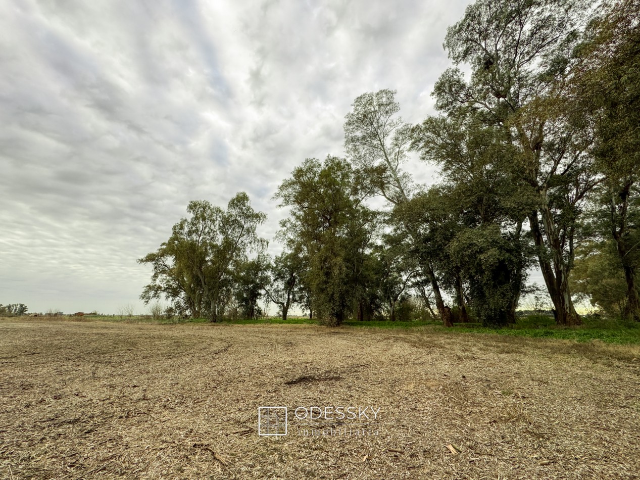 Cañuelas -17 ha en venta 