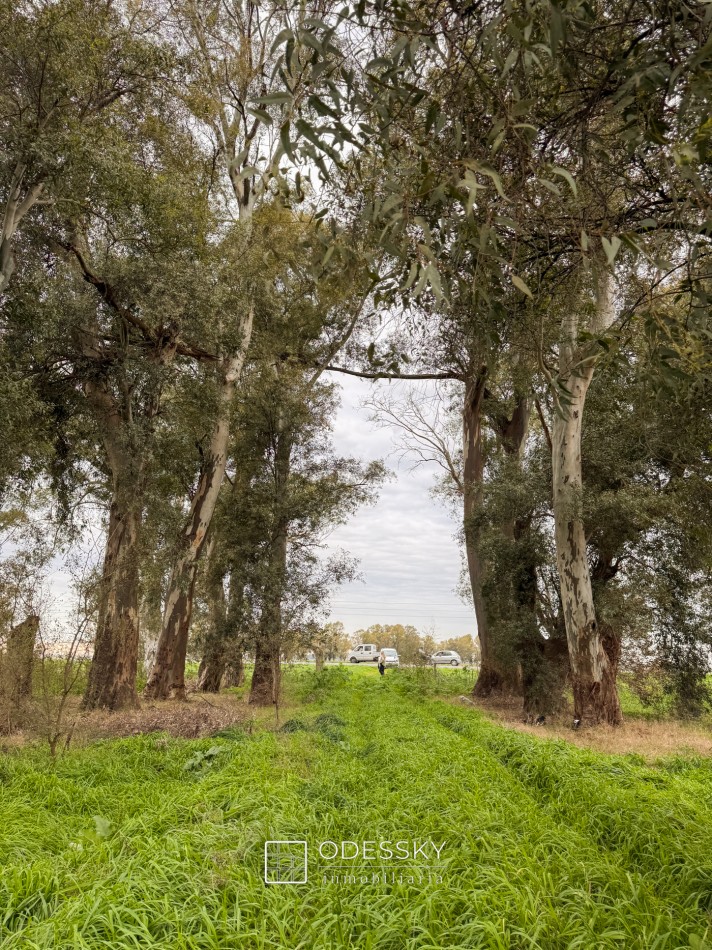 Cañuelas -17 ha en venta 