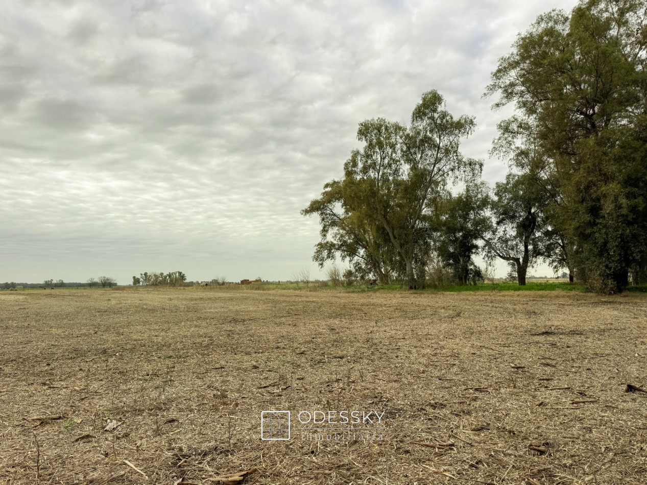 Cañuelas -17 ha en venta 
