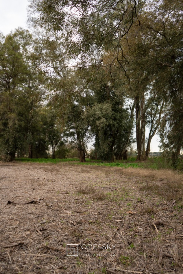 Cañuelas -17 ha en venta 