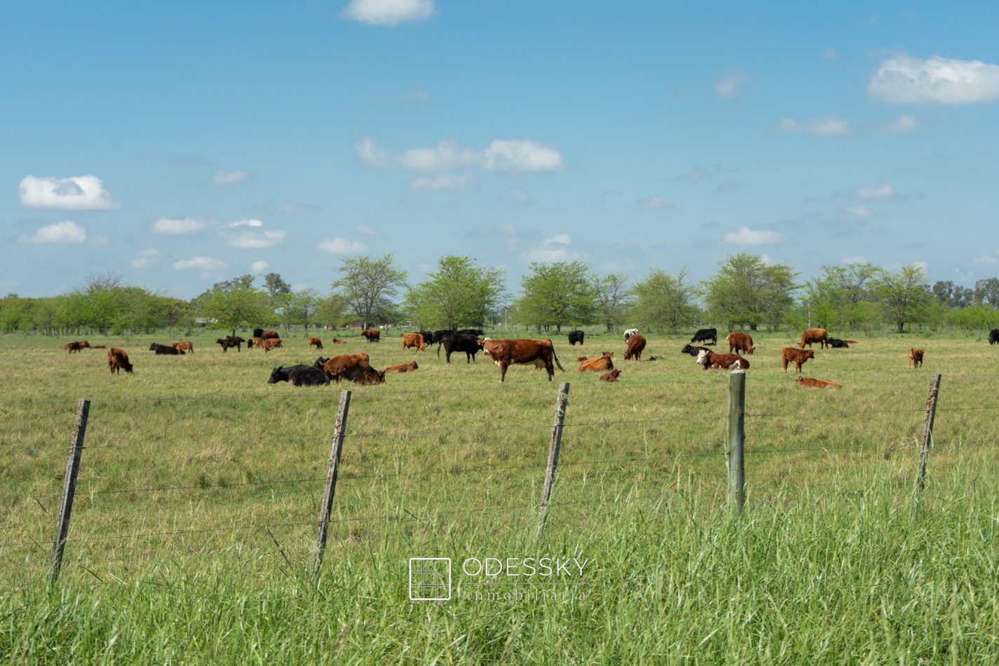 Uribelarrea - Dos Cabañas de Tronco Impecables a la Venta