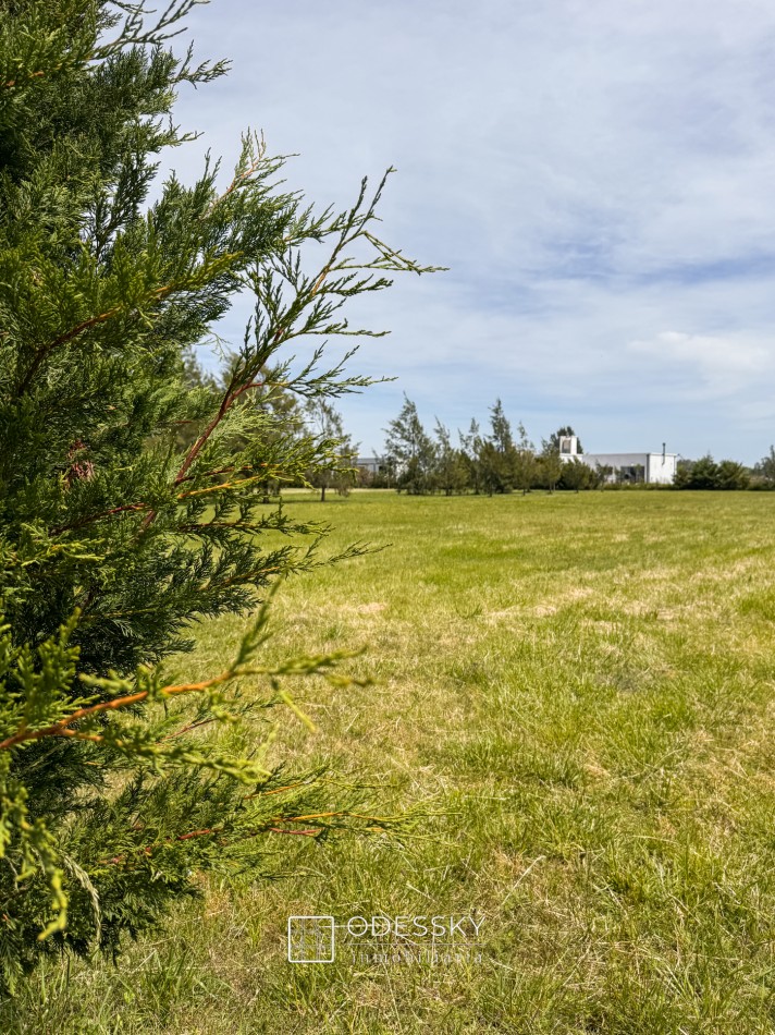 Cañuelas -Chacras de Penna -3 Lotes en venta -REBAJADOS !!!