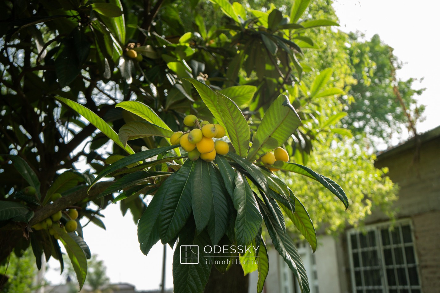 Cañuelas -Villa Adriana -Casa en venta 