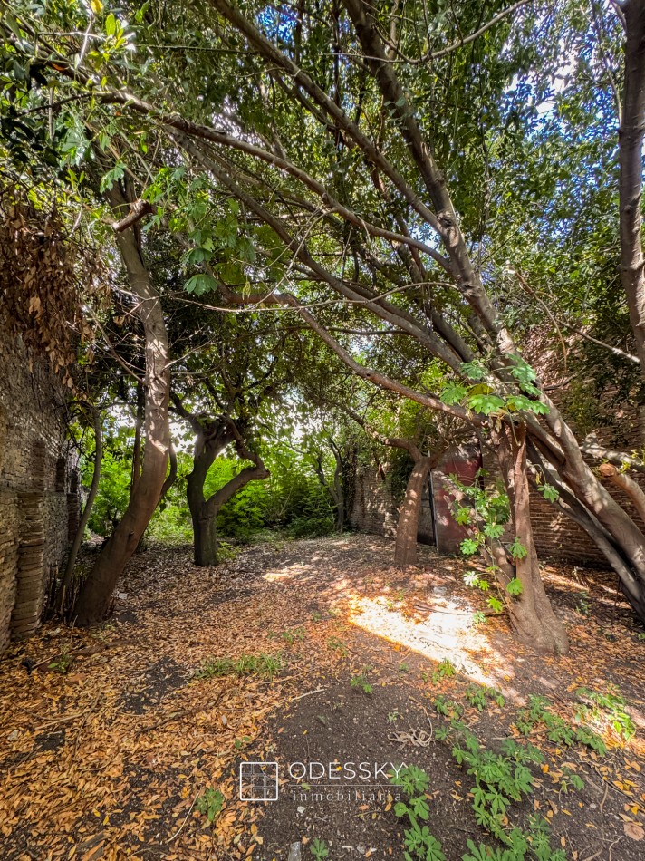 Atencion Inversores !  Propiedad unica en el corazon de Cañuelas  