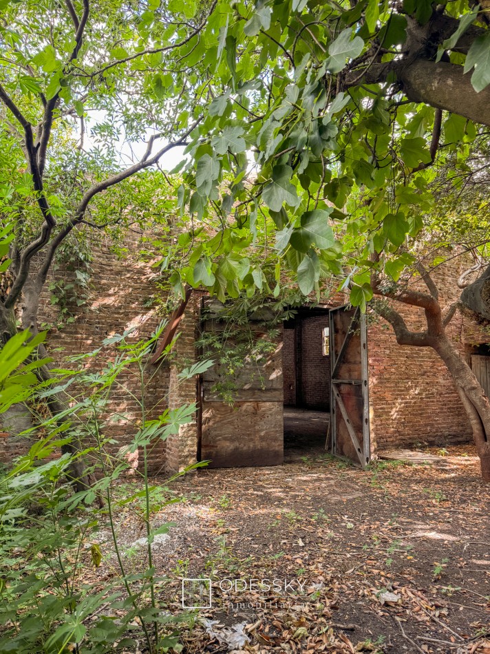 Atencion Inversores !  Propiedad unica en el corazon de Cañuelas  