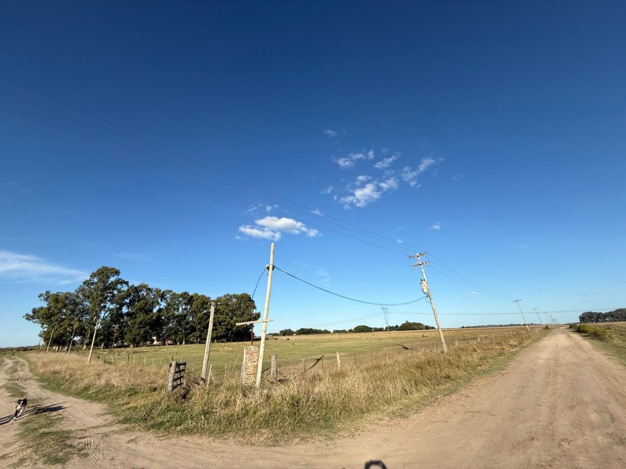Udaondo, Cañuelas - 45 ha en venta 