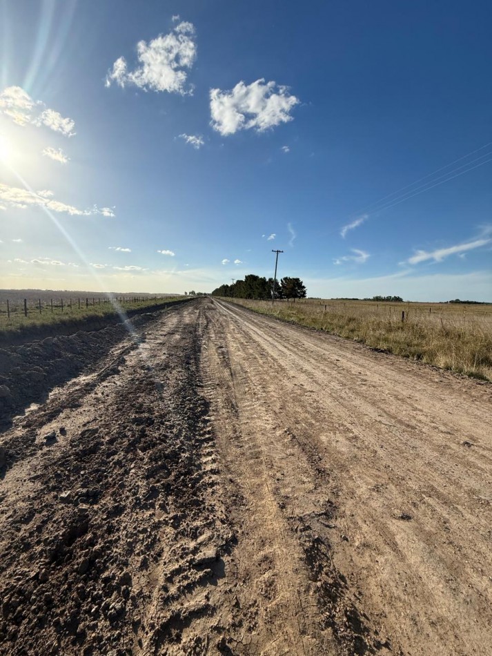 Udaondo, Cañuelas - 45 ha en venta 