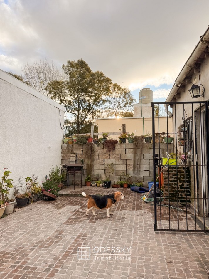  Cañuelas- 3 propiedades en un mismo lote- Ideal para vivir y obtener renta.