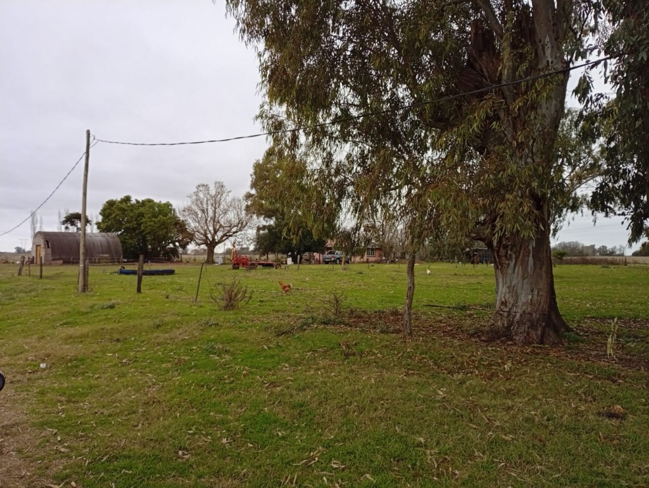 Udaondo, Cañuelas - 45 ha en venta 