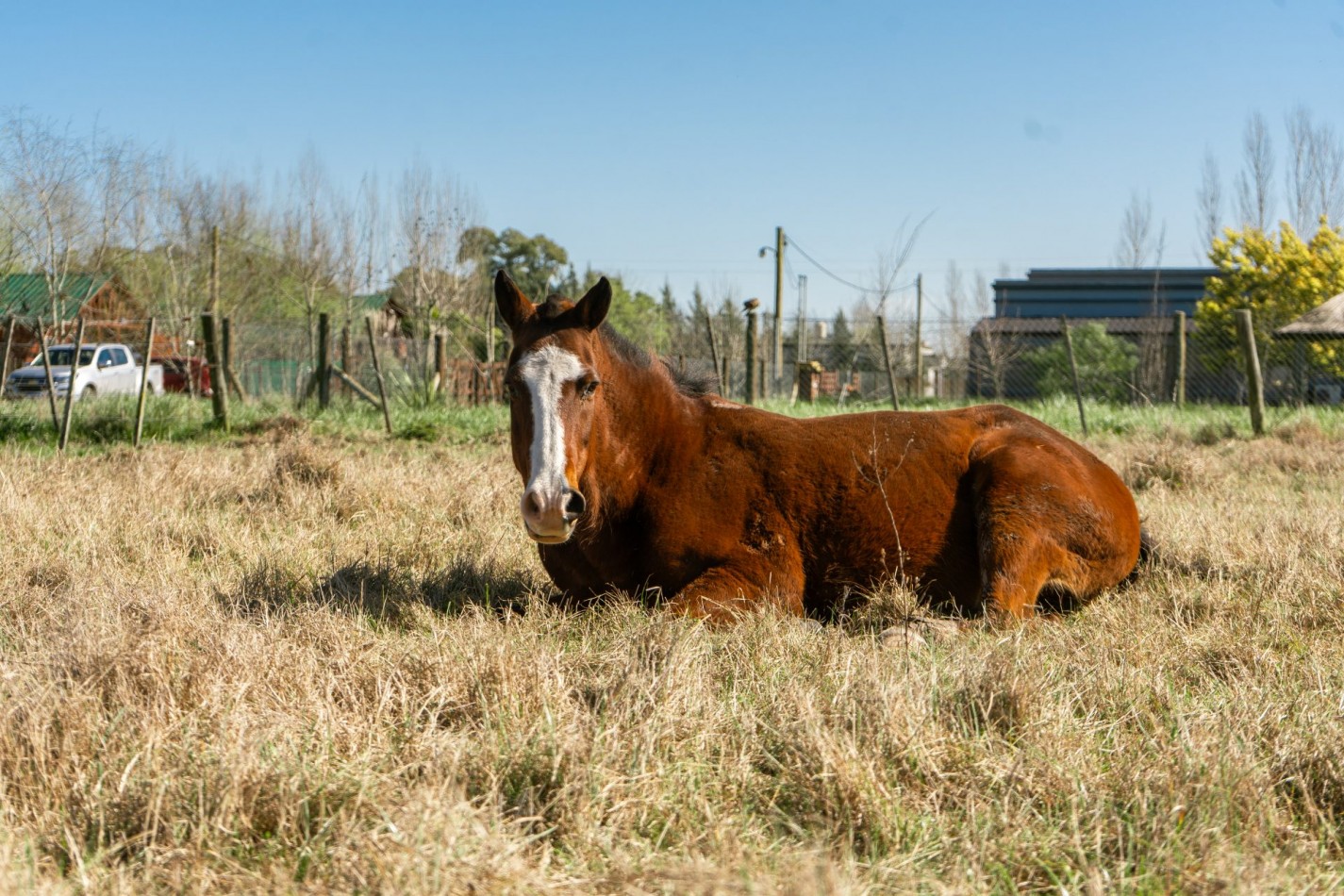LOS FRESNOS -QUINTAS DE URIBE -Lotes de 2000 a 2800 m2 
