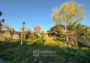 Cañuelas- Casa a refaccionar con espectacular lote en pleno centro de la Ciudad 