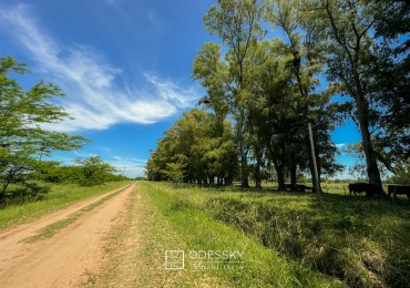 Uribelarrea -Hermosa fraccion de 3,5 ha a la venta 