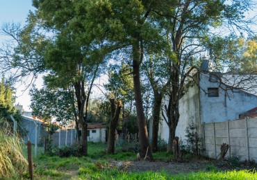 CAÑUELAS- HERMOSO LOTE EN VENTA