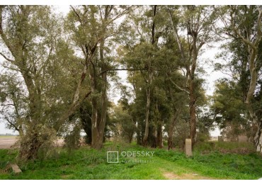 Cañuelas -17 ha en venta 