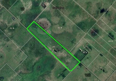 Udaondo, Cañuelas - 45 ha en venta 