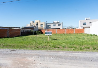  2 LOTES EN VENTA EN PETION CHICO - CAÑUELAS